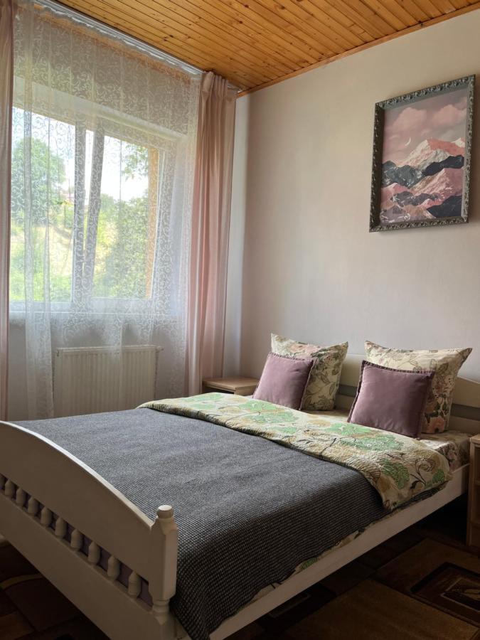 Ніч Над Карпатами Hotel Slavske Ngoại thất bức ảnh